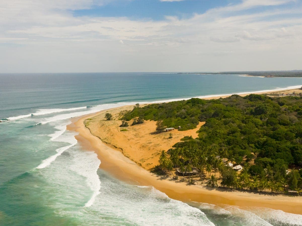 The Surfing Paradise photo 3