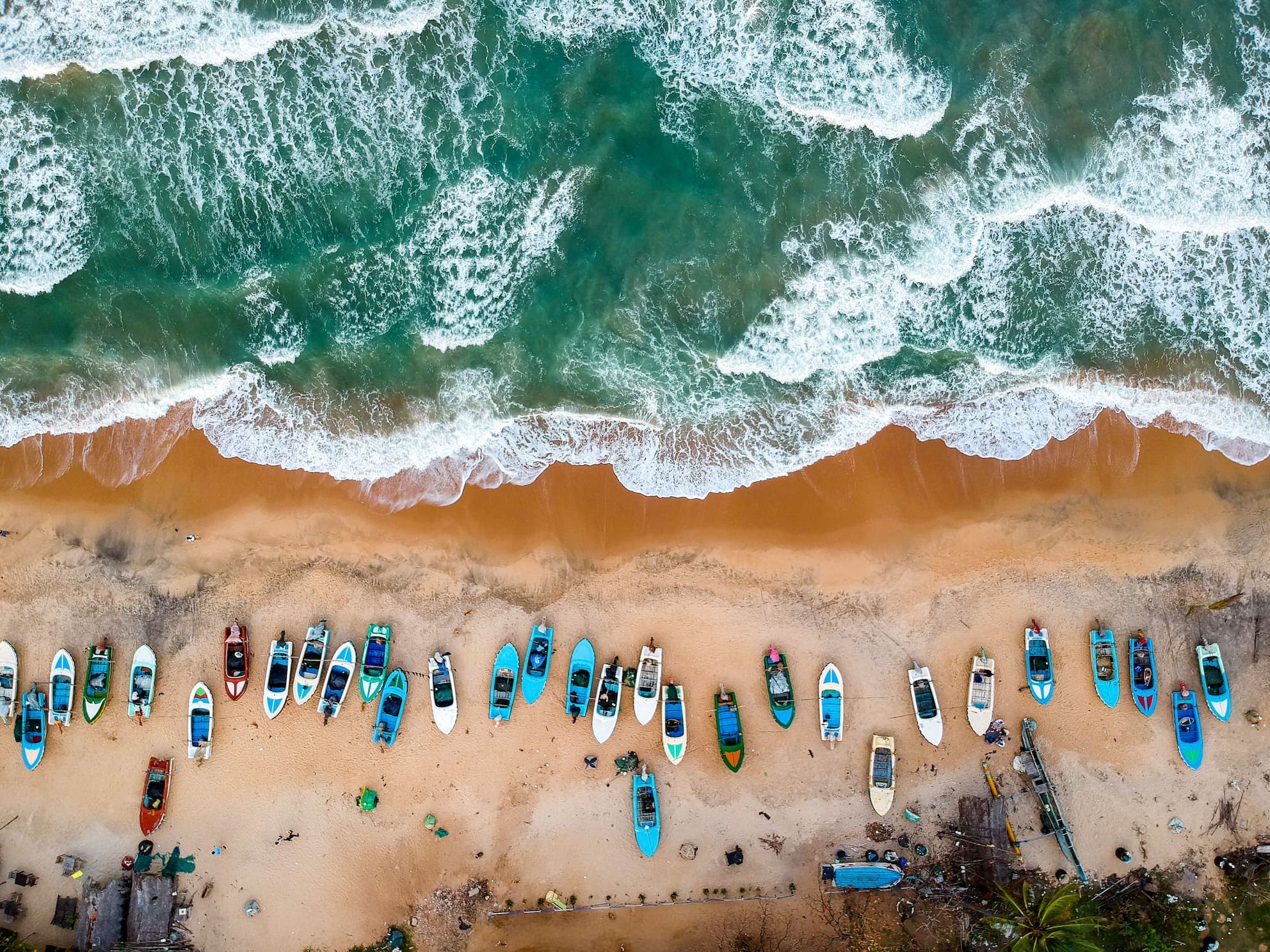 The Surfing Paradise photo 2