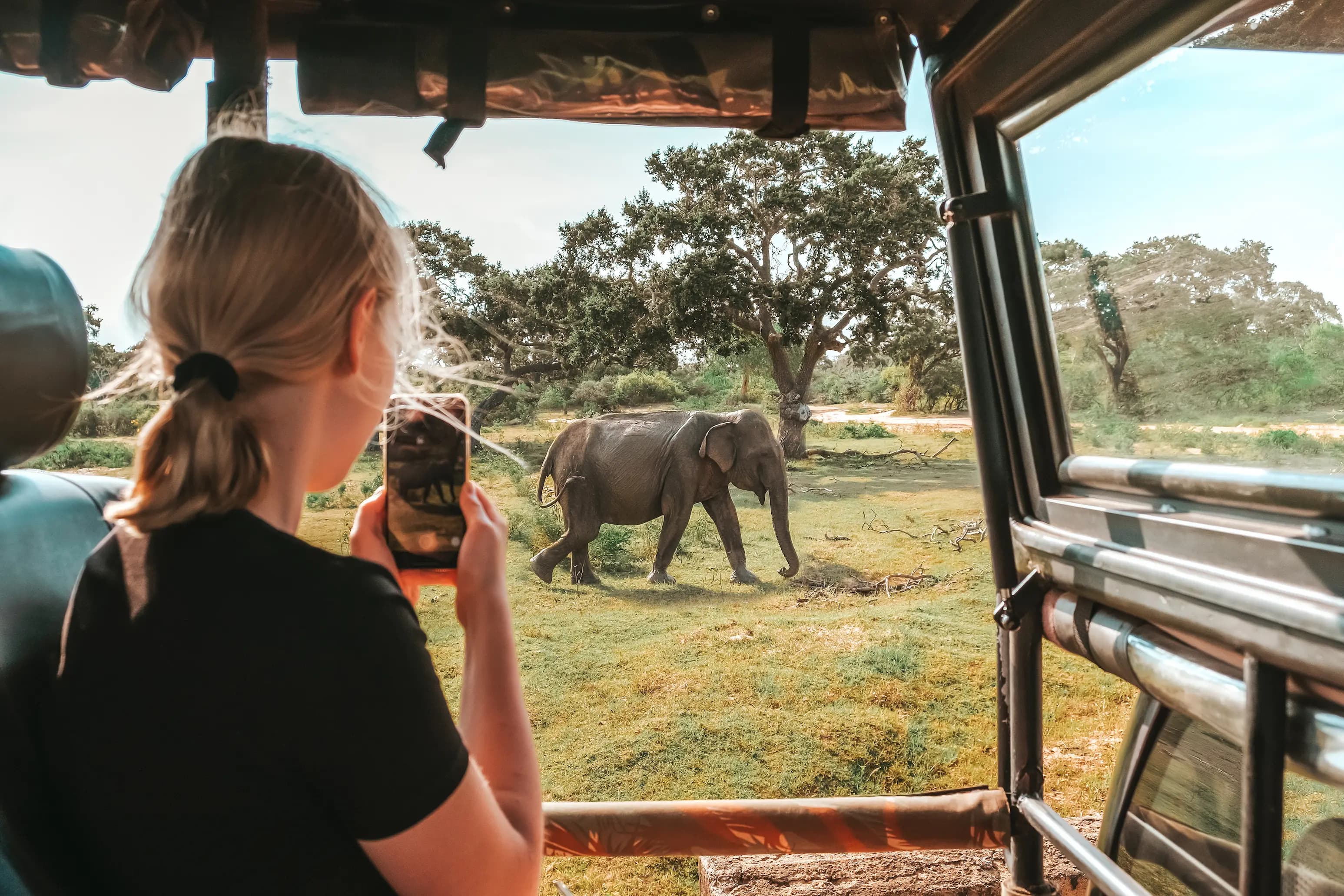 Elephant safari adventure in Sri Lanka
