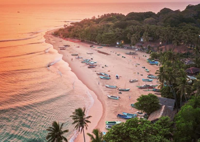 Arugam Bay (East Coast)